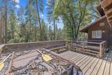 48675 Todd Eymann Road - Photo 14