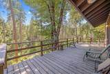48675 Todd Eymann Road - Photo 39