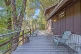 48675 Todd Eymann Road - Photo 41