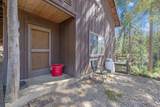 48675 Todd Eymann Road - Photo 44