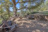 48675 Todd Eymann Road - Photo 45