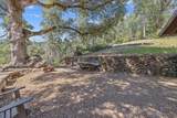 48675 Todd Eymann Road - Photo 46