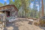 48675 Todd Eymann Road - Photo 48