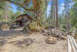 48675 Todd Eymann Road - Photo 49