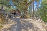 48675 Todd Eymann Road - Photo 50