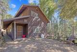 48675 Todd Eymann Road - Photo 52
