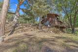 48675 Todd Eymann Road - Photo 54