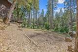 48675 Todd Eymann Road - Photo 55