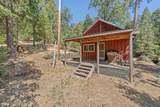 48675 Todd Eymann Road - Photo 59