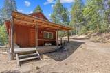 48675 Todd Eymann Road - Photo 72
