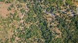48675 Todd Eymann Road - Photo 77