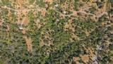48675 Todd Eymann Road - Photo 83