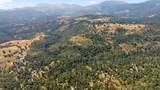 48675 Todd Eymann Road - Photo 85