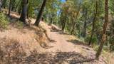 48675 Todd Eymann Road - Photo 93