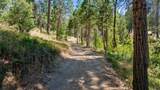 48675 Todd Eymann Road - Photo 95