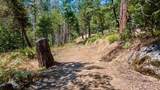 48675 Todd Eymann Road - Photo 96