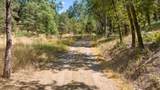 48675 Todd Eymann Road - Photo 97