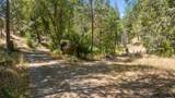 48675 Todd Eymann Road - Photo 98