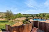 31393 Dahlem Drive - Photo 44