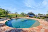 31393 Dahlem Drive - Photo 51