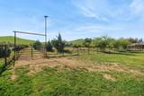 31393 Dahlem Drive - Photo 64