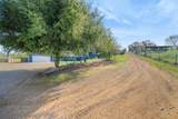 31393 Dahlem Drive - Photo 68