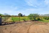 31393 Dahlem Drive - Photo 69