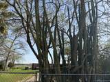 525 Prine Drive - Photo 4