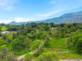 47415 Dry Creek Drive - Photo 3