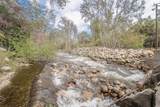 43043 South Fork Drive - Photo 42
