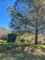44981 Todd Eymann Road - Photo 43