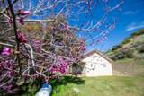 44981 Todd Eymann Road - Photo 44