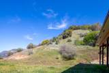 44981 Todd Eymann Road - Photo 47