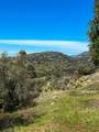 44981 Todd Eymann Road - Photo 48