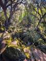 44981 Todd Eymann Road - Photo 49