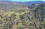 44981 Todd Eymann Road - Photo 54