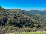 44981 Todd Eymann Road - Photo 60
