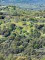 44981 Todd Eymann Road - Photo 62