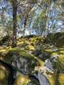 44981 Todd Eymann Road - Photo 66