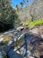 44981 Todd Eymann Road - Photo 70