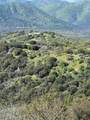 44981 Todd Eymann Road - Photo 72