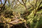 44981 Todd Eymann Road - Photo 9