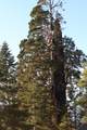 54622 Manzanita Drive - Photo 17