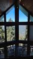54622 Manzanita Drive - Photo 59