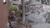 54622 Manzanita Drive - Photo 65