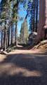 54622 Manzanita Drive - Photo 66