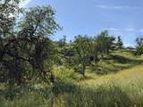  Sierra Drive - Photo 4