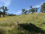  Sierra Drive - Photo 5