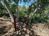 00 Kaweah River Drive - Photo 10