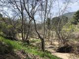 00 Kaweah River Drive - Photo 19
